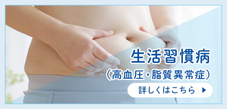 生活習慣病 （高血圧・脂質異症）