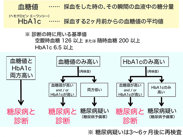 血糖値とHbA1cの説明
