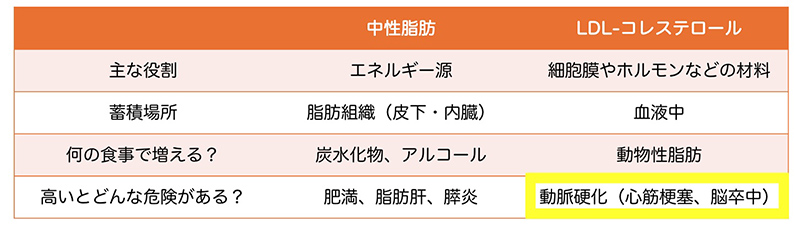 LDL-コレステロールが及ぼす危険