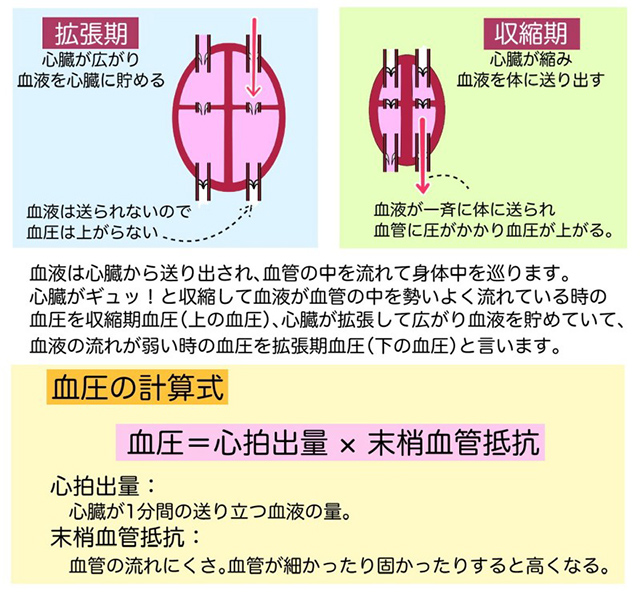 血圧の解説